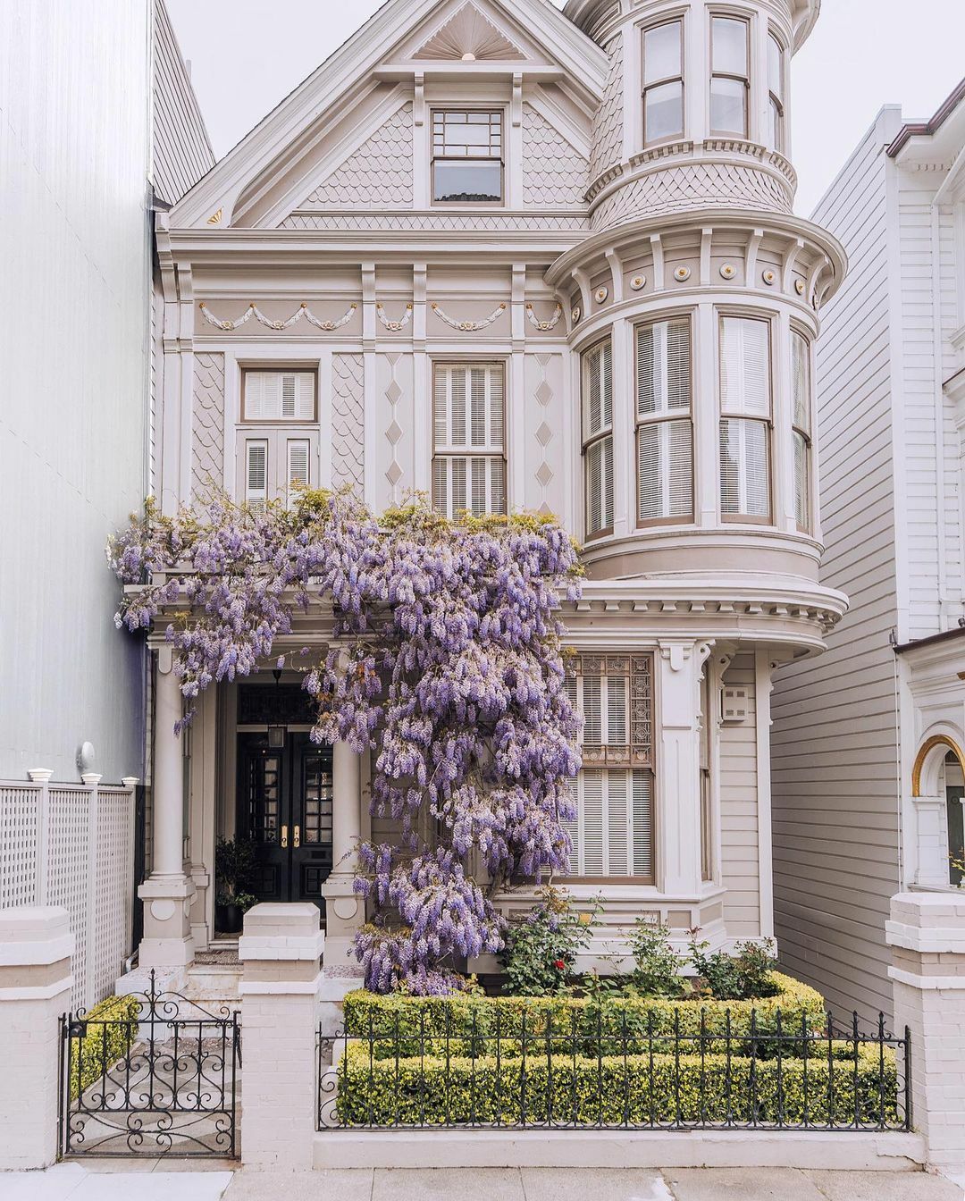Wisteria Blossoms Surrounding The Entrance Of A Victorian Townhouse In San Francisco