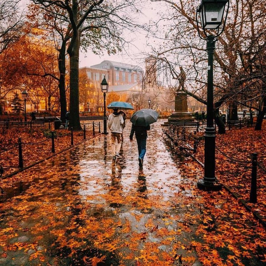 Nothing Cozier Than A Rainy Autumn Day