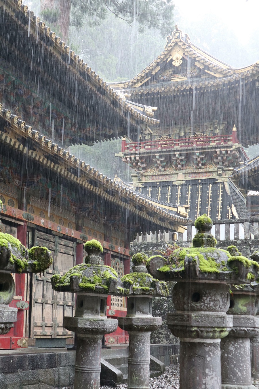 A (Very) Rainy Day In Nikko, Japan