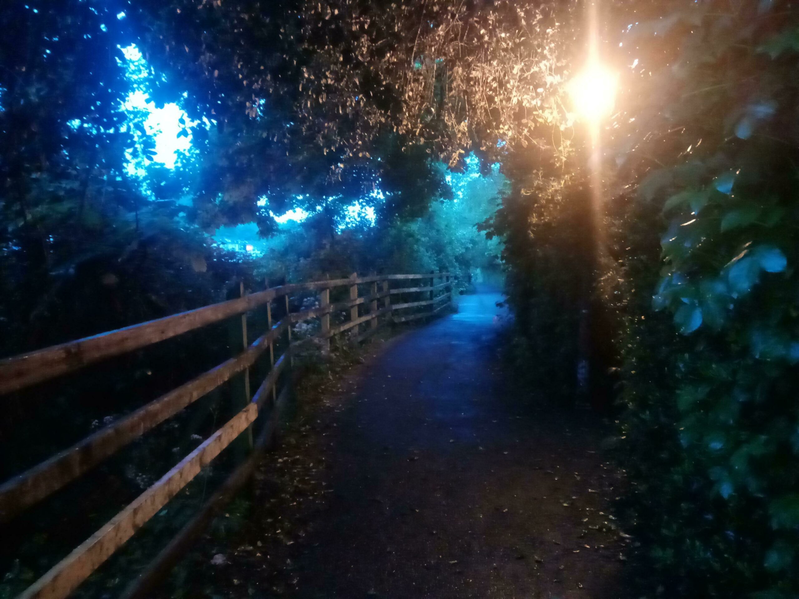 Walk Home In The Rain Looked Weirdly Celestial Today
