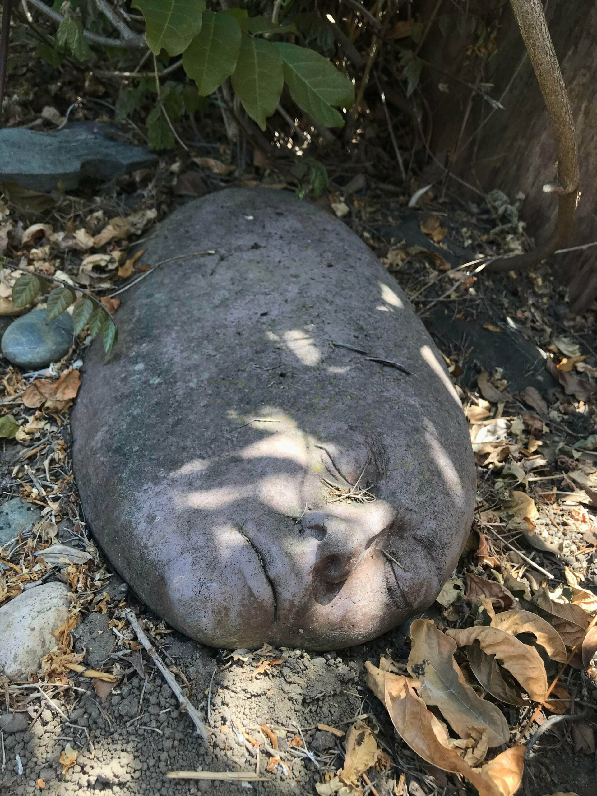 Did A Double Take When I Saw This Rock In My Friend’s Yard. She Said It Came From The Tenants Before Her, But I Think It Is The Tenant