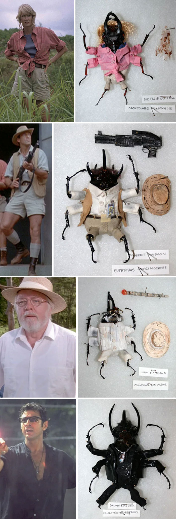 Someone Was Selling Dead Beetles Dressed Up As Jurassic Park Characters On Etsy