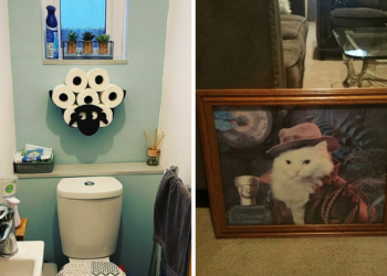 Hilarious Items That Made These People’s Homes More Interesting