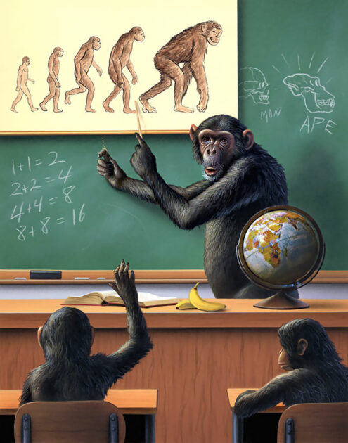 50 Shocking Illustrations Reveal How Animals Feel By Switching Them ...