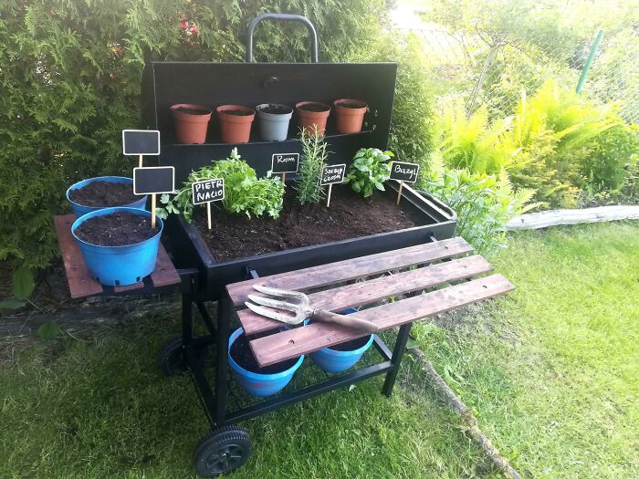 I Repurposed My Old Grill Into A Small Herb Garden! I Hope All The Seeds Grow Soon