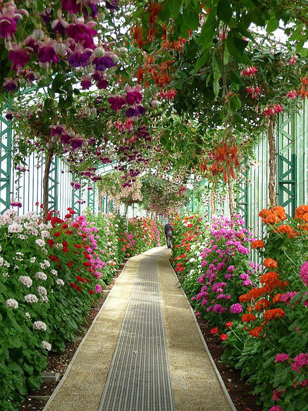 Flower Garden In Belgium