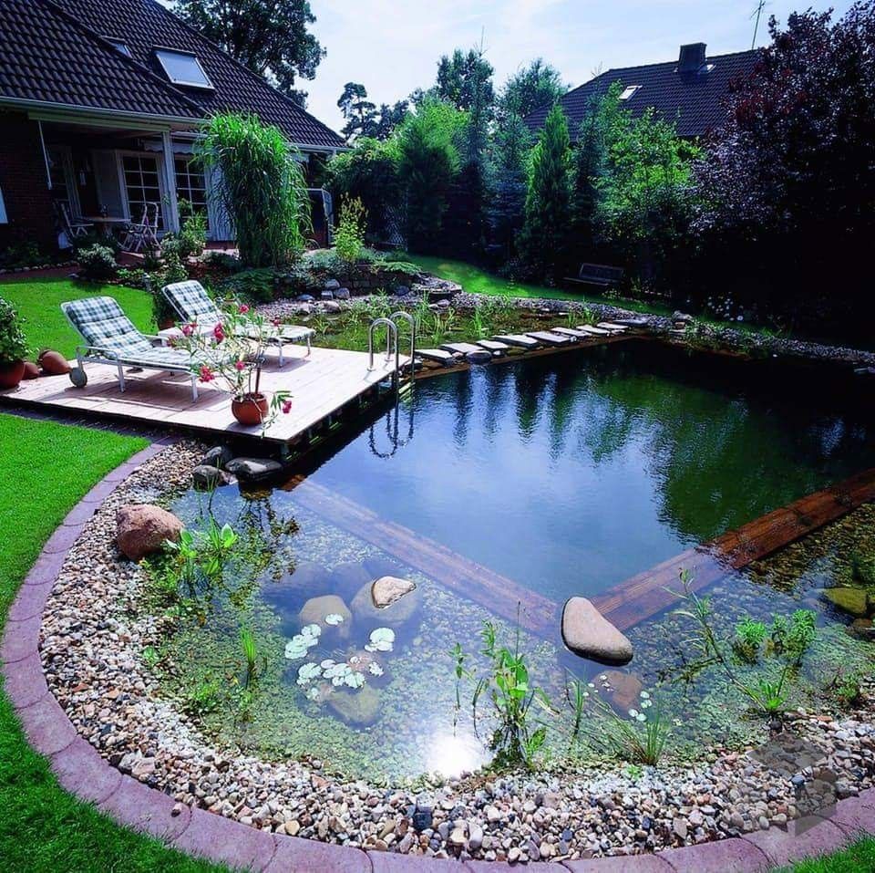 Awesome Swimming Pool Pond Landscaping