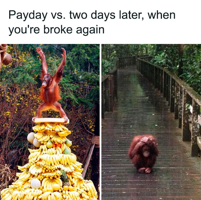 Funny Memes About Money Because They’re True