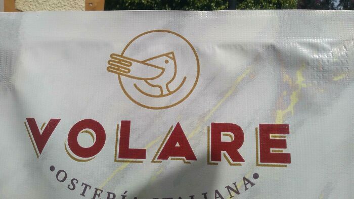 This Logo Of A Bird Also Looks Like A Character Wearing A Puking Hat 