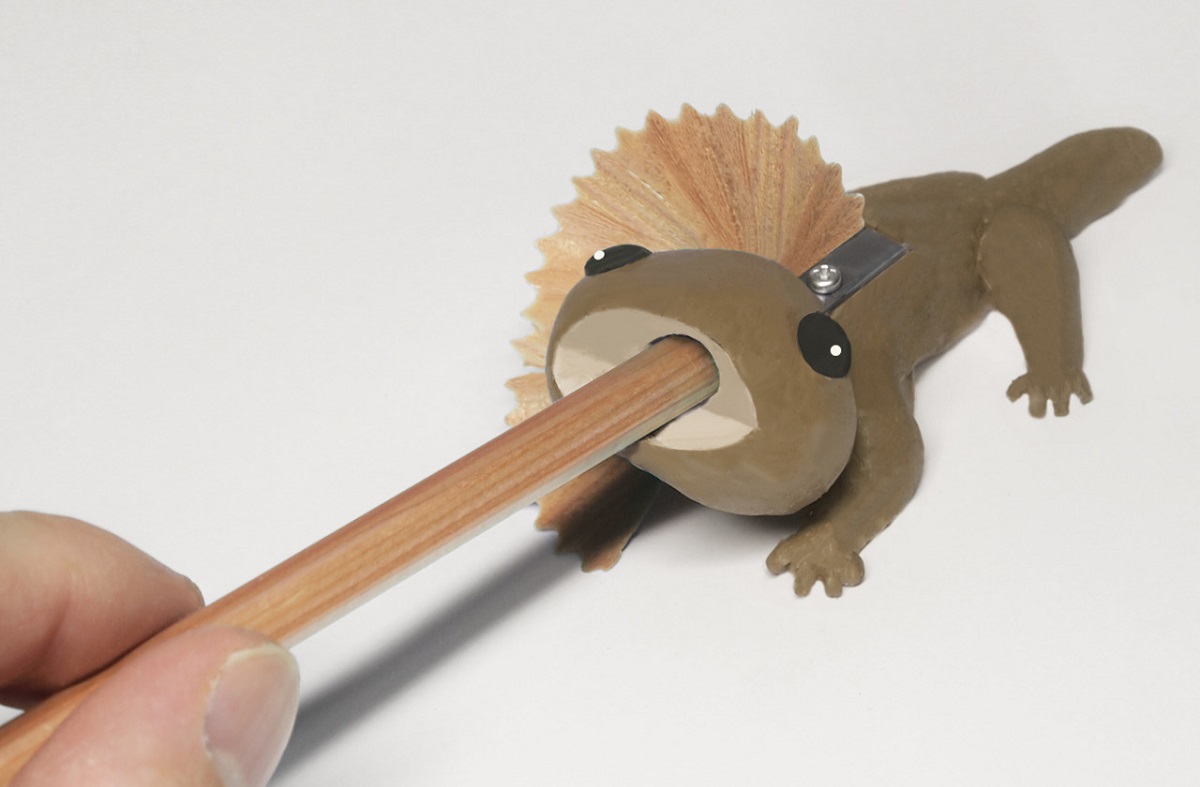 Pencil Shavings Create Frilled Lizard