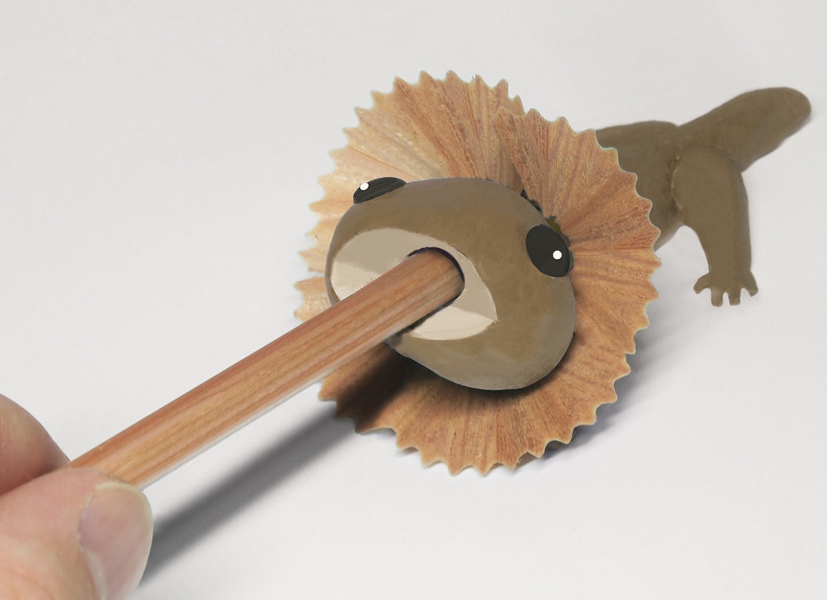 Pencil Shavings Create Frilled Lizard