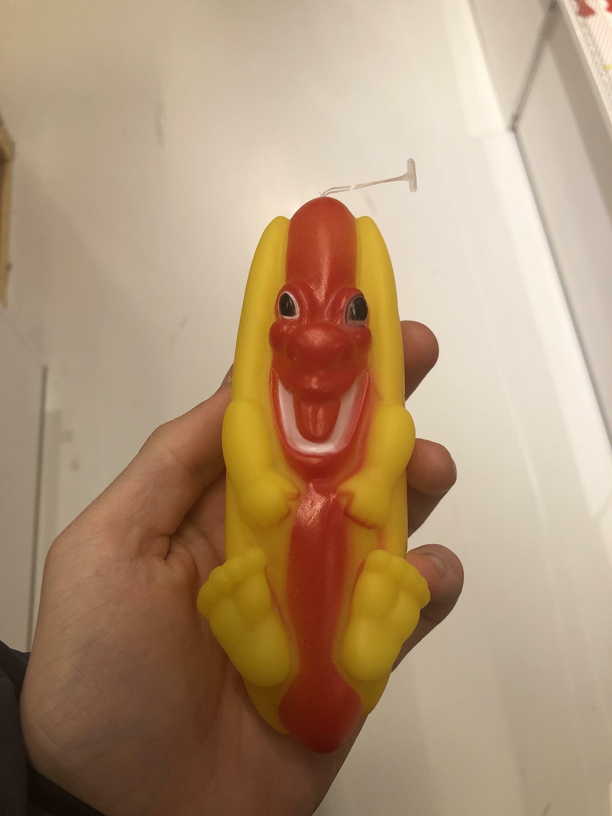 This Dog Toy