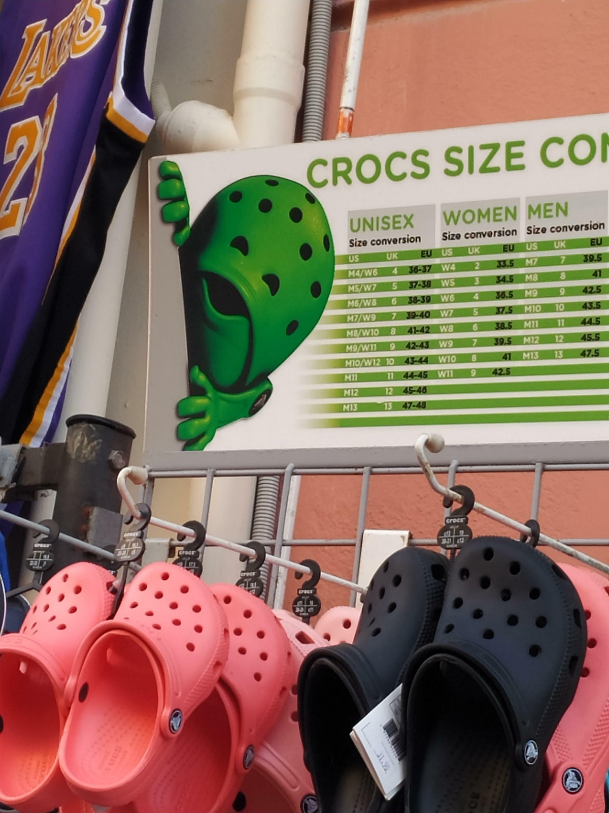 The Croc, It Sees You