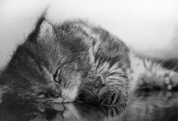 Pencil Drawing By Paul Lung