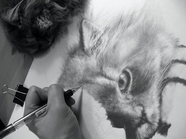 Pencil Drawing By Paul Lung