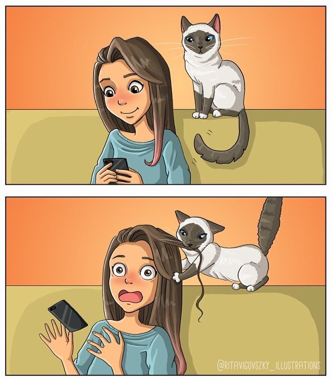 Relatable Comics Illustrations About Everyday Life With A Cat