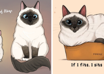 “What It’s Like To Have A Cat”: 40 Illustrations By Rita Vigovszky (New Pics)