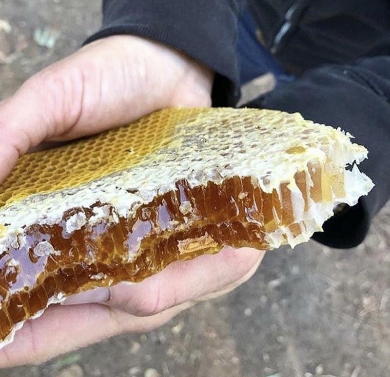 This Honeycomb - One Of The Perfect Food Pics