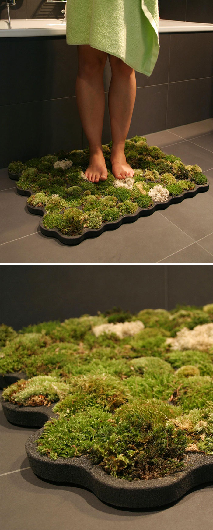 Moss Carpet By Nection Design