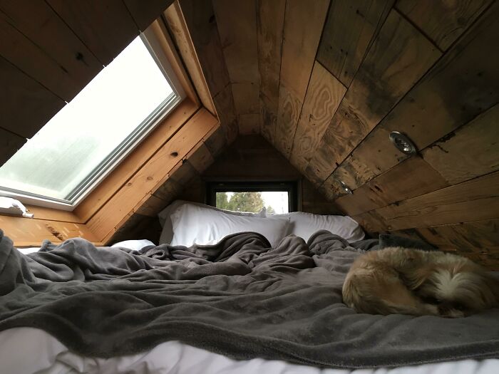 I Stayed In A Tiny House Recently. This Was The Bed. Excellent Place To Curl Up And Listen To The Rain