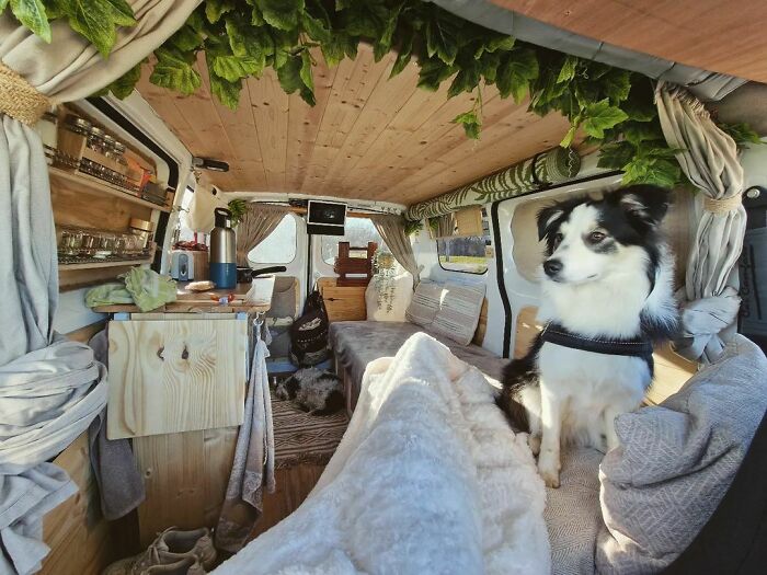 Just A Lazy Sunday In My Minivan