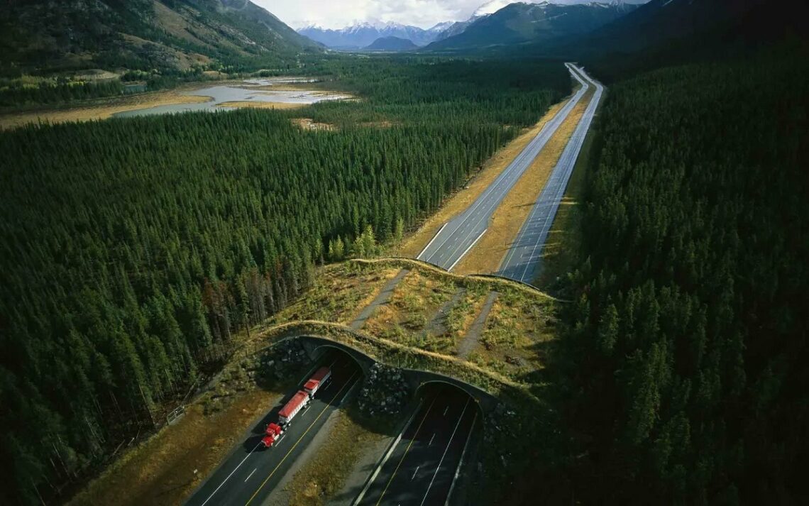 50 Awesome Examples Of Infrastructure By Engineers Who Think Outside ...
