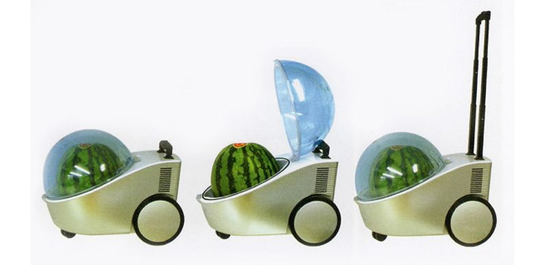 What Could Be Cooler Than A Watermelon Coo... Oh Never Mind