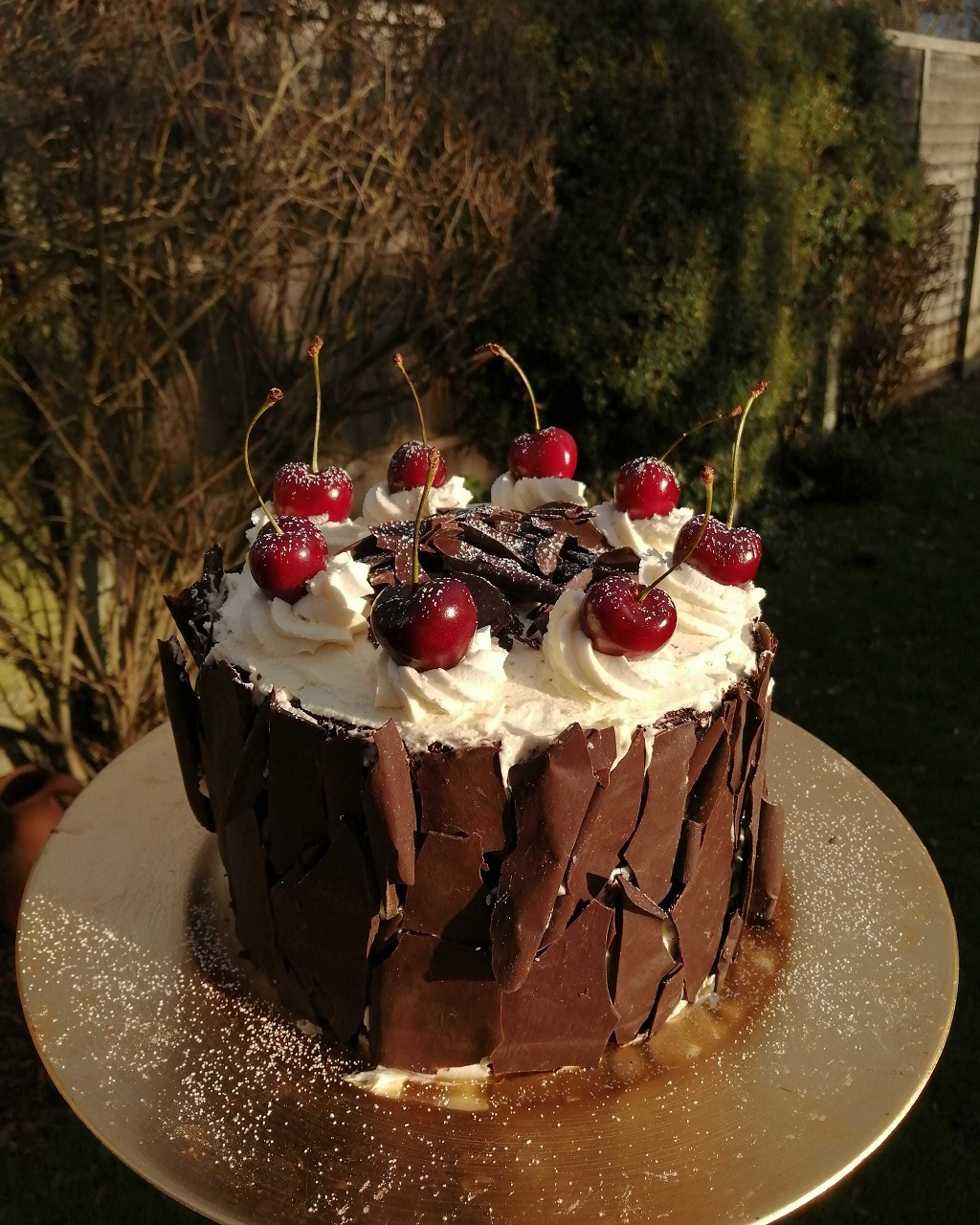 I Made A Black Forest Gateau For Christmas Day Pudding