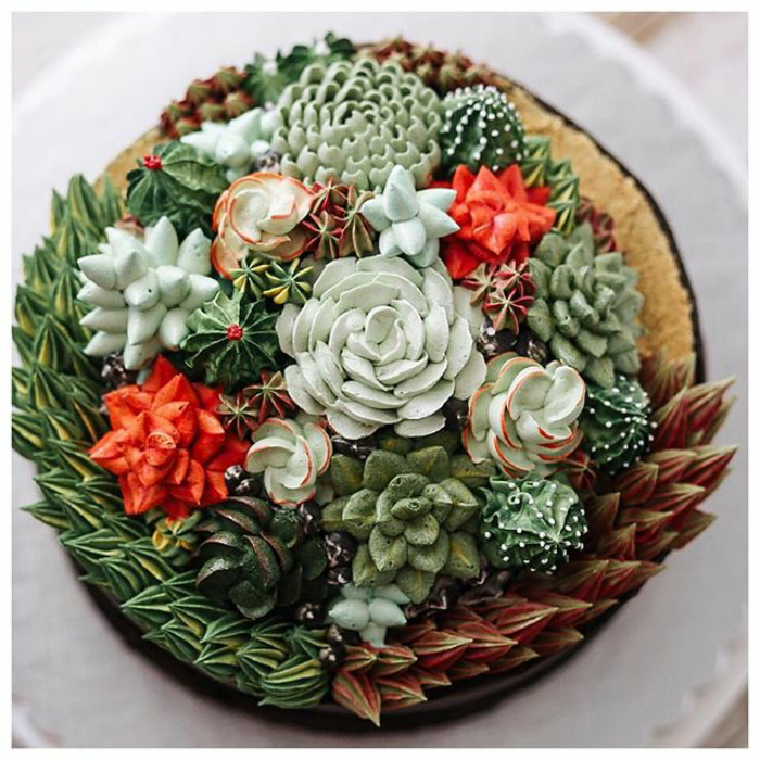 Mouth Watering Succulent Cakes By Ivenoven