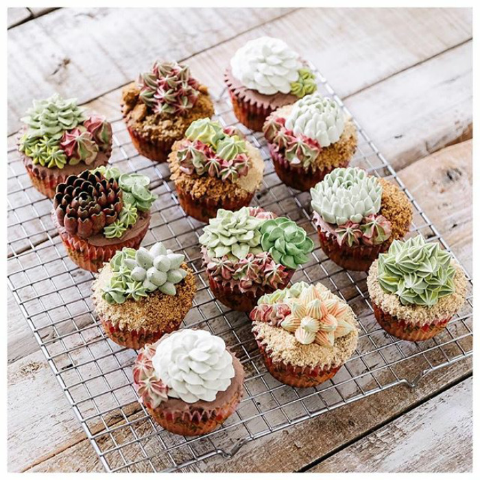 Mouth Watering Succulent Cakes By Ivenoven