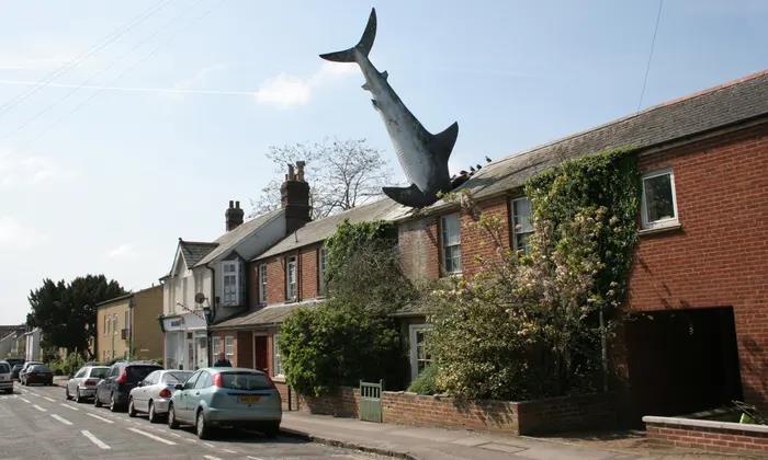 "Sharkitecture" - Bad Architecture Examples