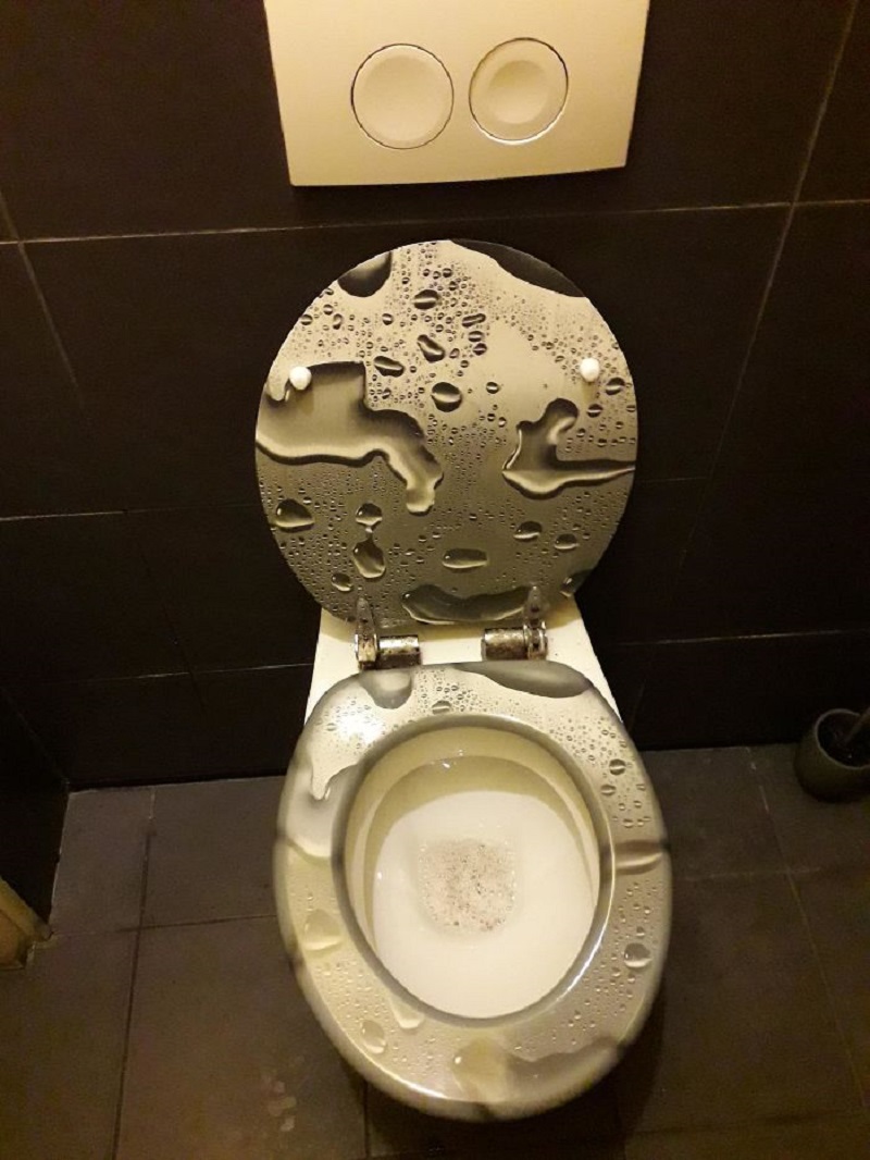 Fancy Toilet