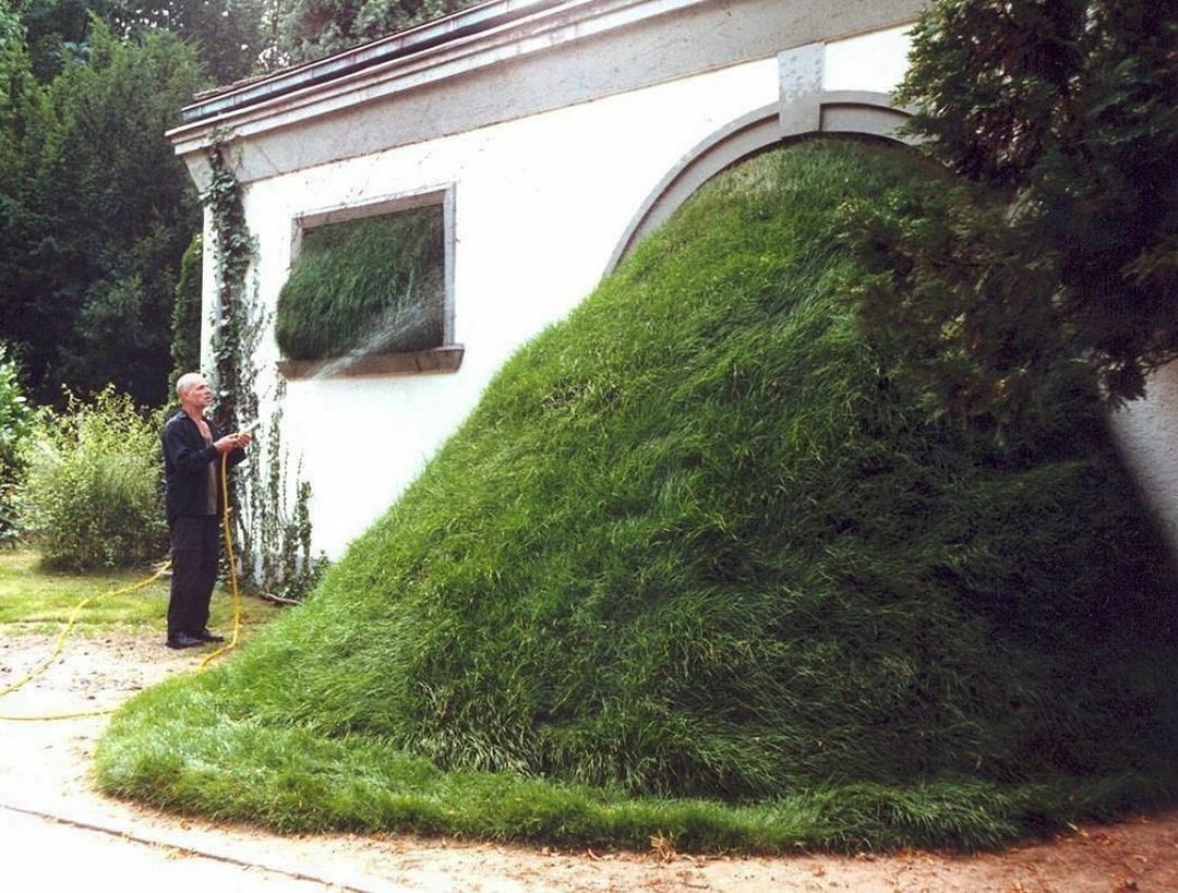 Cornelia Konrads Grass Work 2002 In Dreieich, Germany