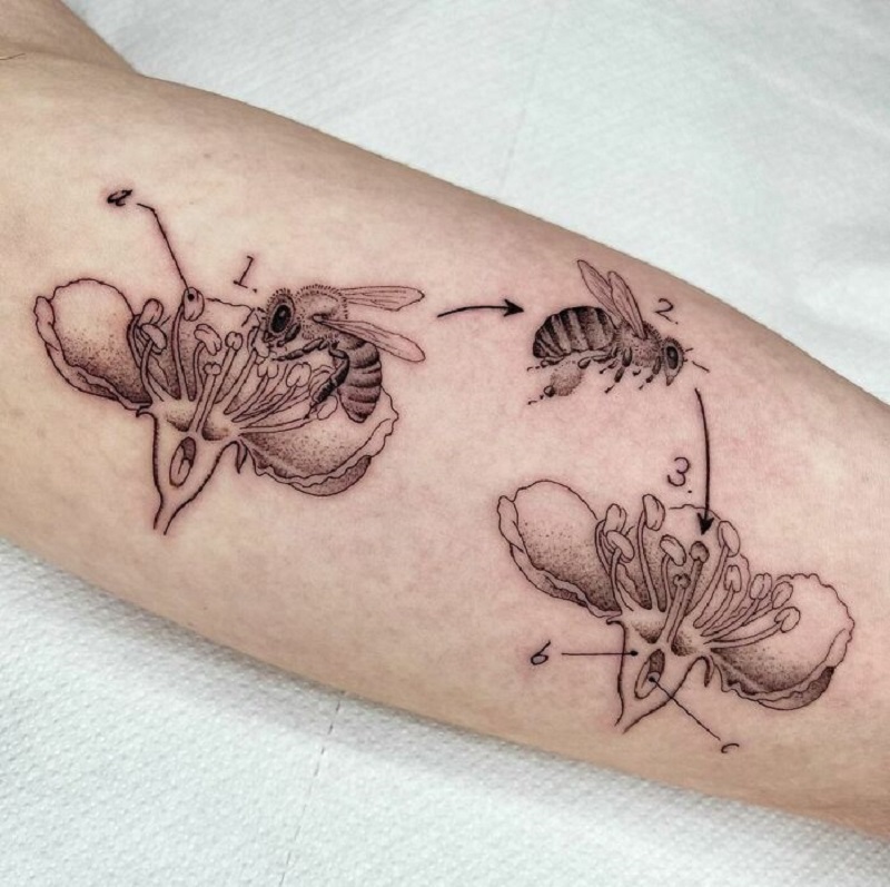 Bee Biology Tattoo