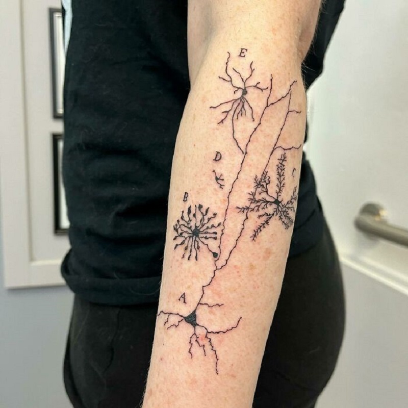 Ramon Y Cajal Inspired Neuron Tattoo