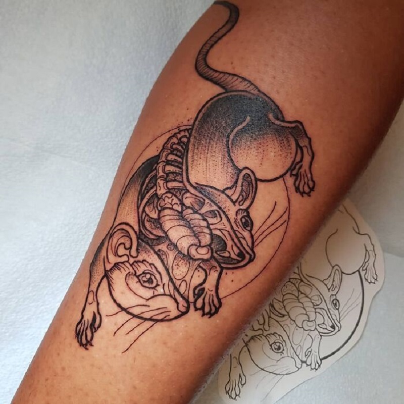 Mouse Anatomy Black Tattoo