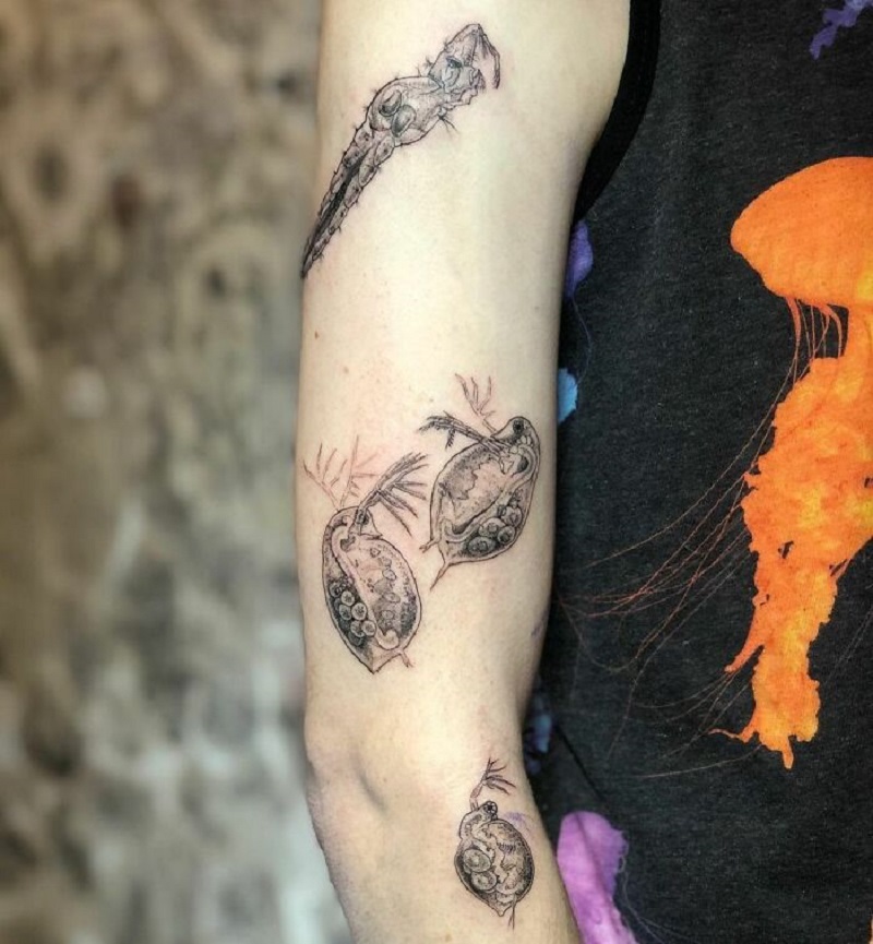 Biology Arm Tattoo