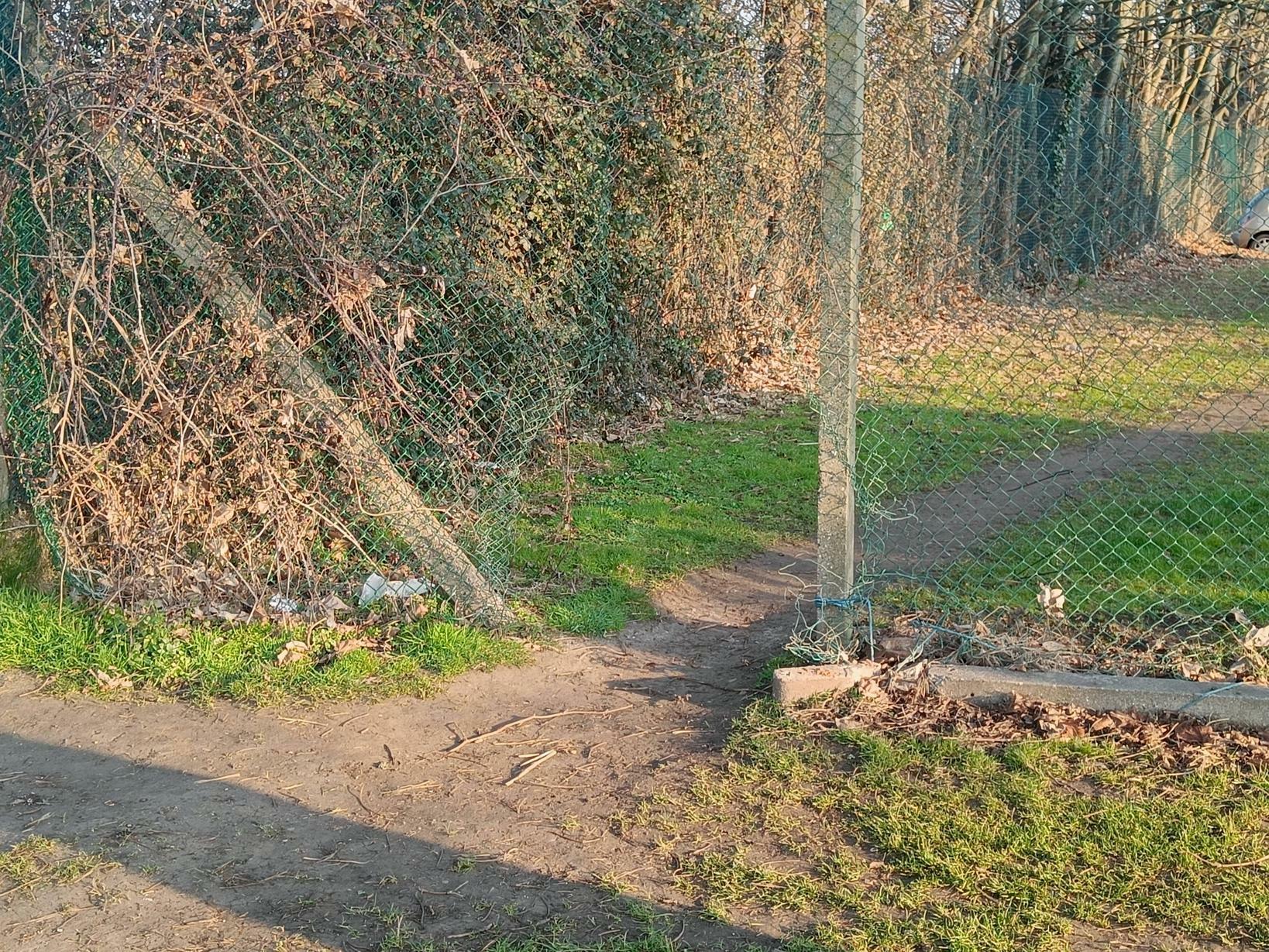 Desire Path So Strong Is Goes Through A Metal Mesh Fence
