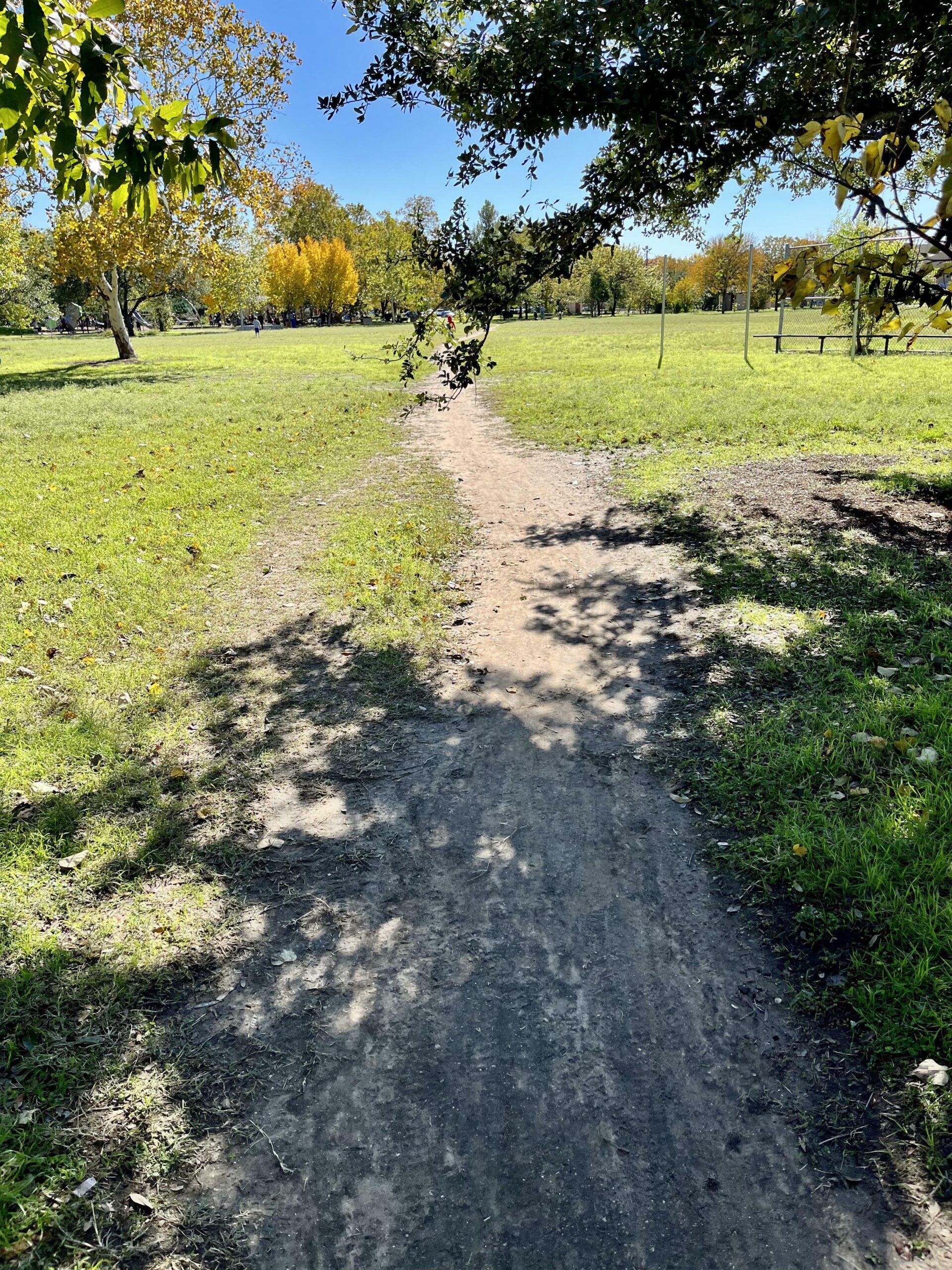 Desire Path To Avoid A Branch Hanging Over Another Larger Desire Path