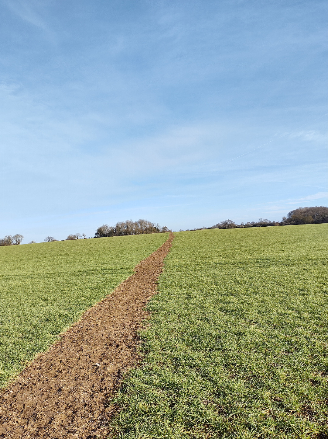 Public Footpaths In The UK Through Fields Are Desire Highways