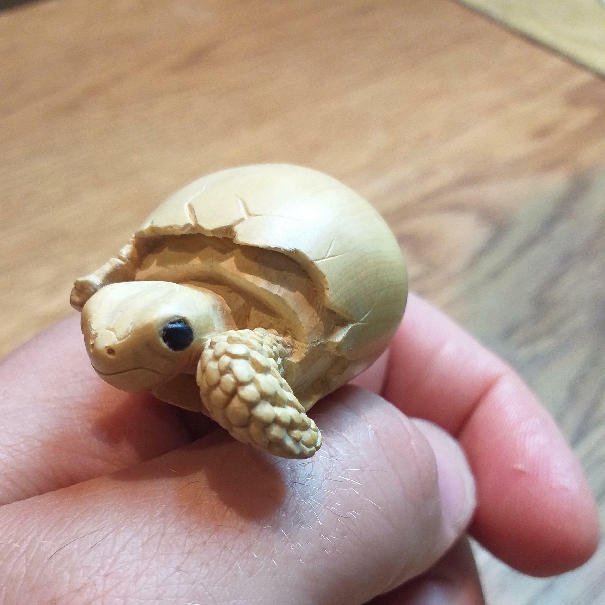 Baby Turtle Emerging From Its Egg. Hand Carved By Me, In Boxwood And Horn Eyes. I hope You Like It. Happy New Year To Everyone, Particularly The Loyal Followers! Happy Carving!