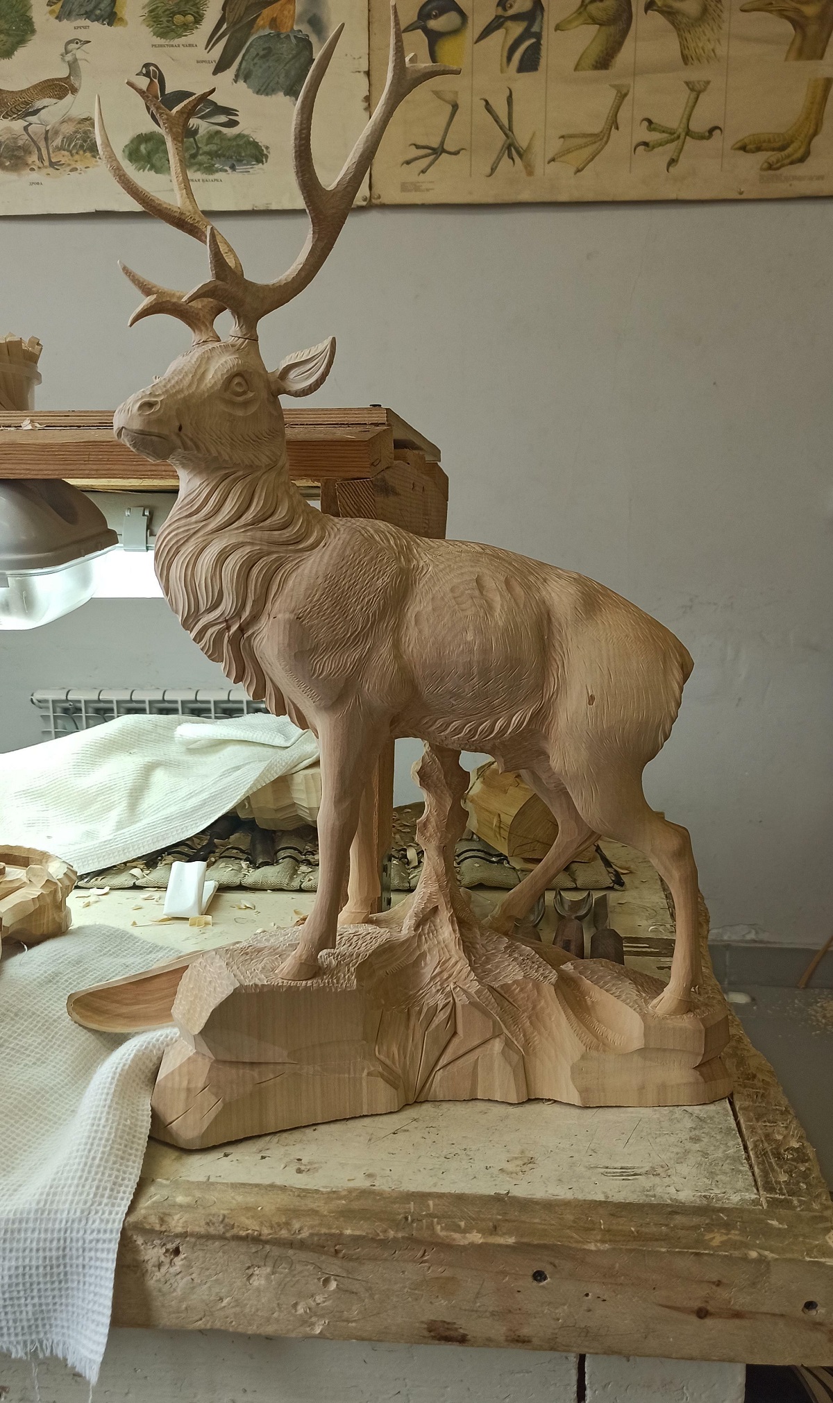 Please Rate C: First Time On Reddit. Carved This Deer A Couple Of Months Ago