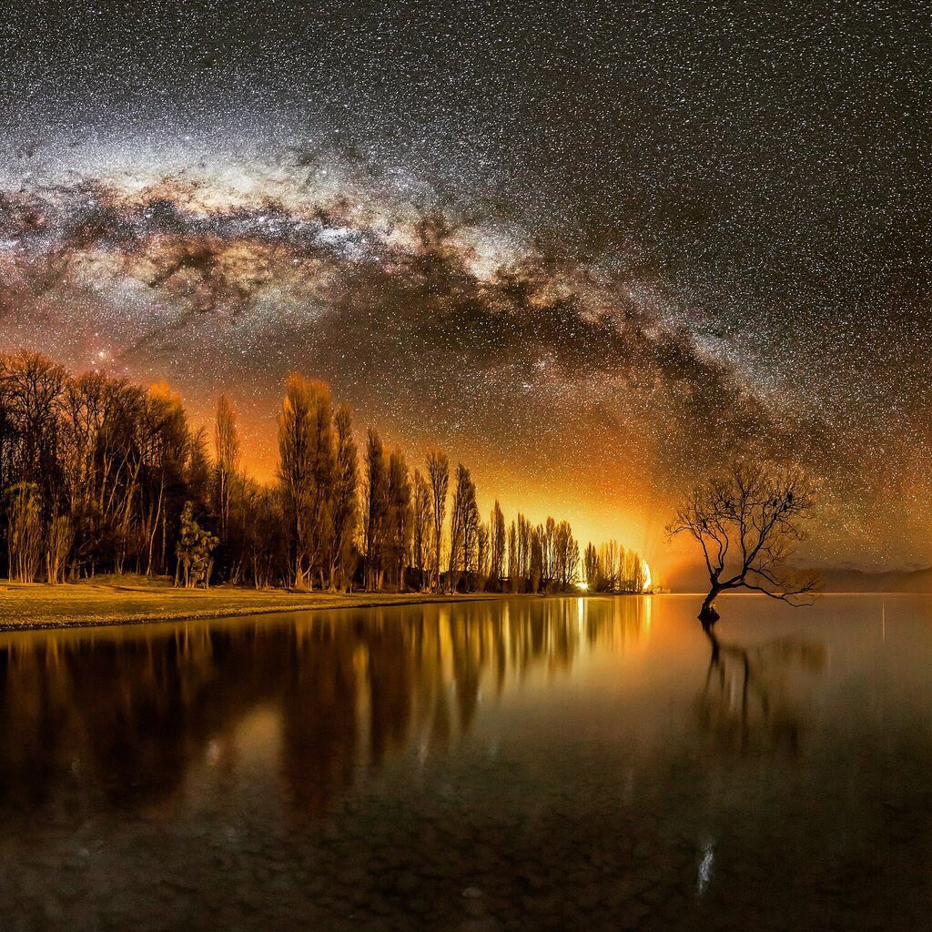 A Lonely Tree Under The Milky Way In Wanaka, New Zealand, By Mike Mackinven