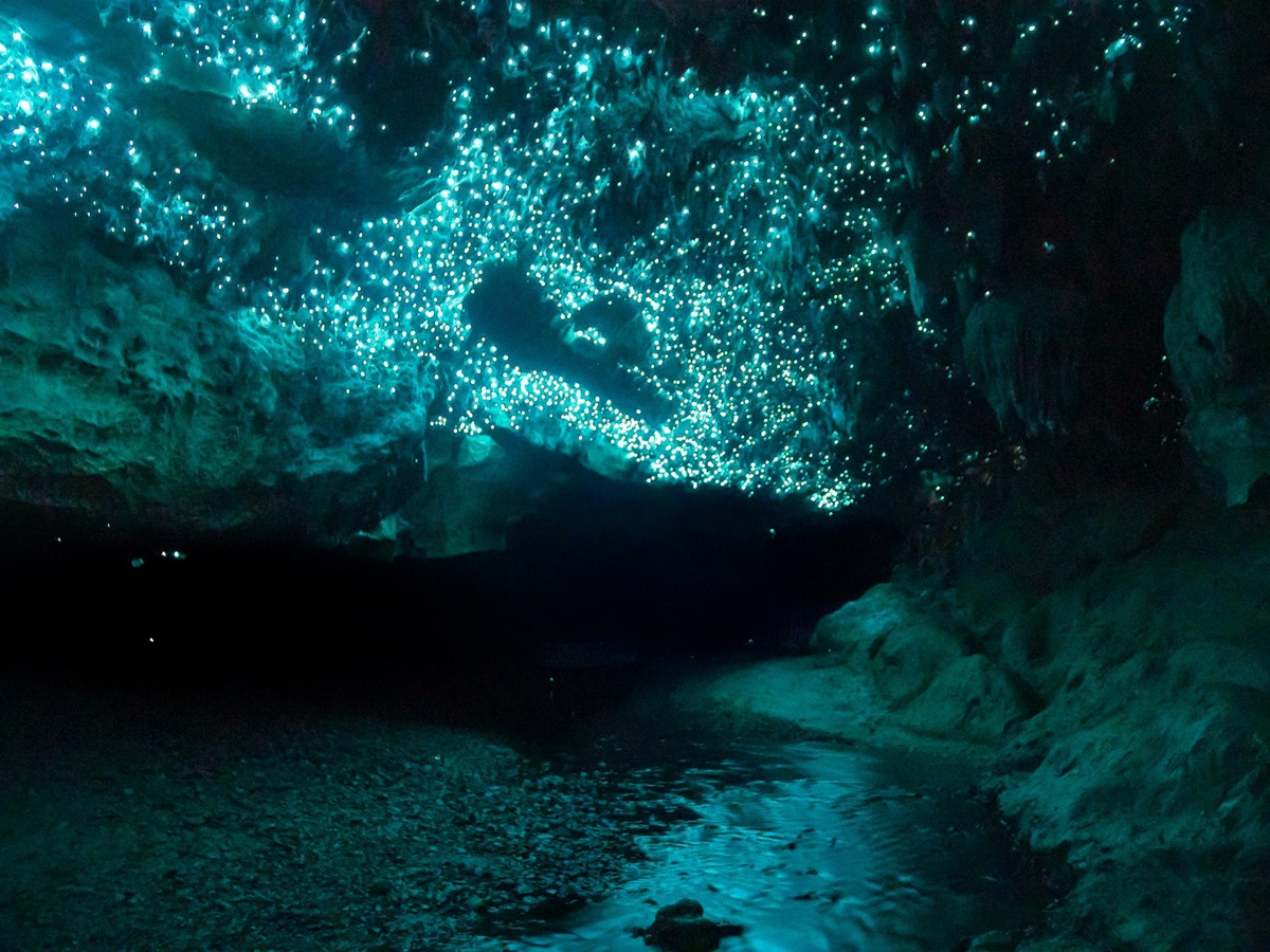 A Cave In New Zealand Lit Just By Glow Worms