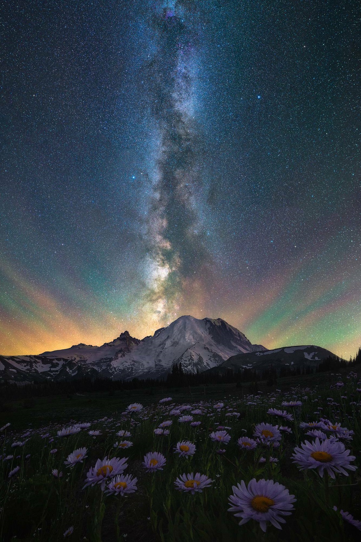 The Night Sky Over Mt Rainier And A Field Of Wildflowers